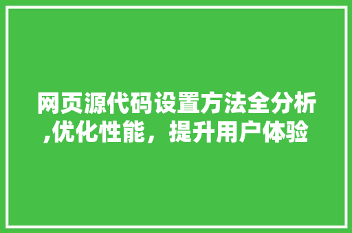 网页源代码设置方法全分析,优化性能，提升用户体验