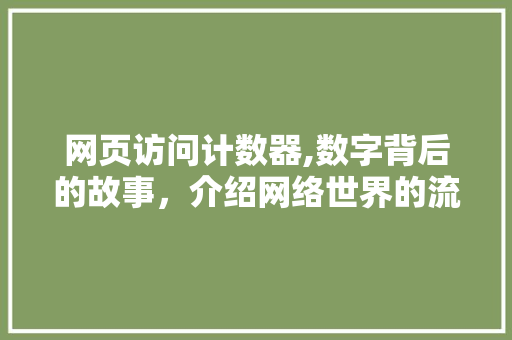 网页访问计数器,数字背后的故事，介绍网络世界的流量密码