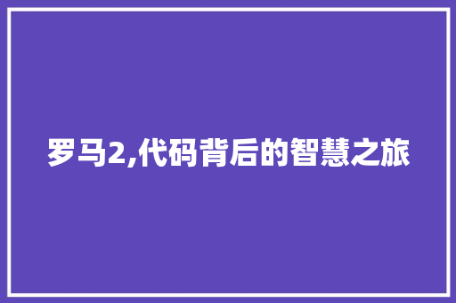 罗马2,代码背后的智慧之旅