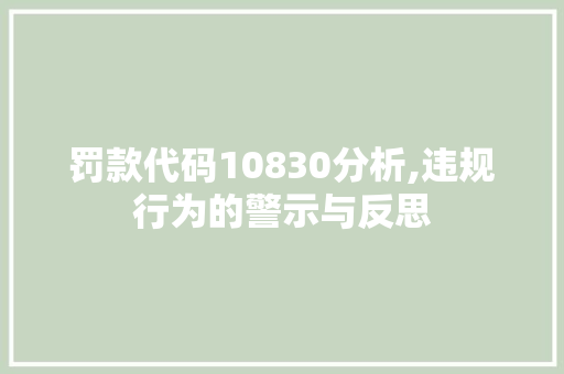 罚款代码10830分析,违规行为的警示与反思