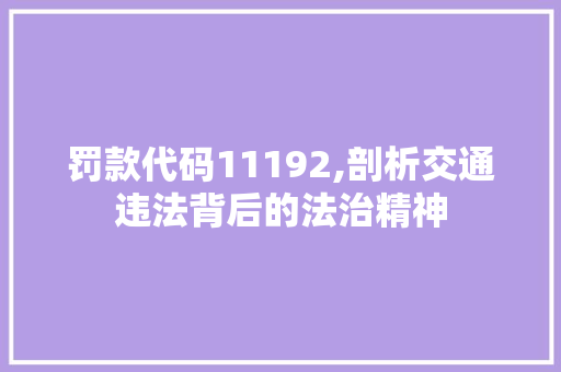 罚款代码11192,剖析交通违法背后的法治精神