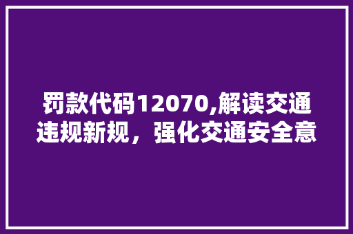 罚款代码12070,解读交通违规新规，强化交通安全意识