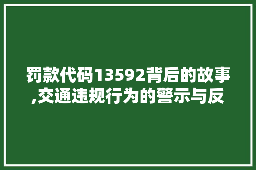 罚款代码13592背后的故事,交通违规行为的警示与反思