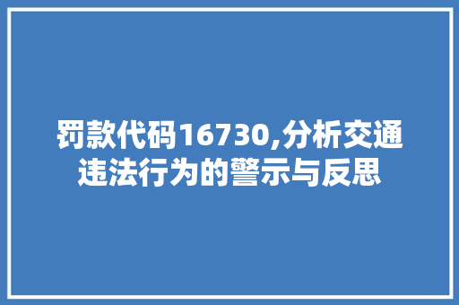 罚款代码16730,分析交通违法行为的警示与反思