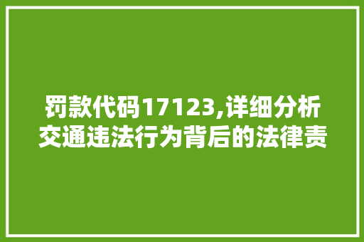 罚款代码17123,详细分析交通违法行为背后的法律责任