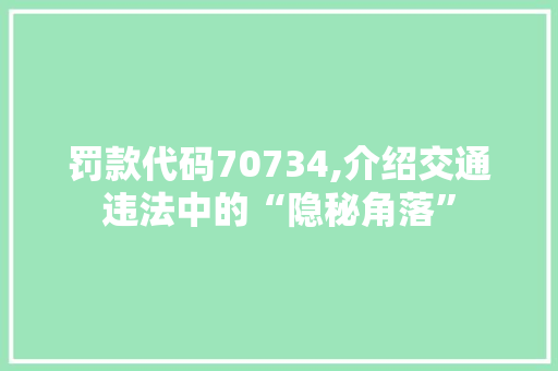 罚款代码70734,介绍交通违法中的“隐秘角落”