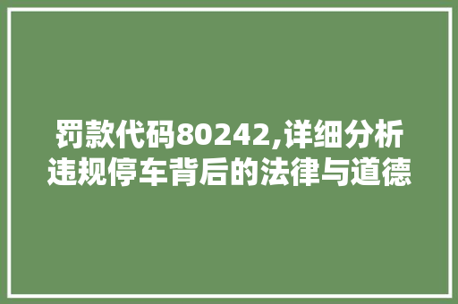 罚款代码80242,详细分析违规停车背后的法律与道德困境