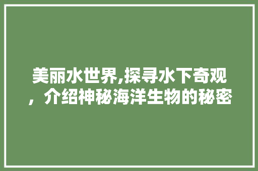 美丽水世界,探寻水下奇观，介绍神秘海洋生物的秘密