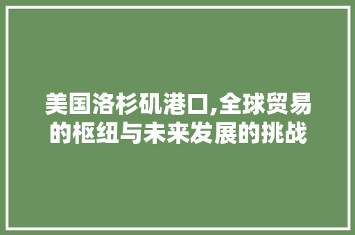 美国洛杉矶港口,全球贸易的枢纽与未来发展的挑战