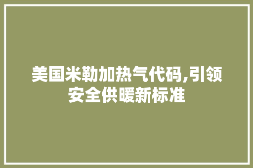 美国米勒加热气代码,引领安全供暖新标准