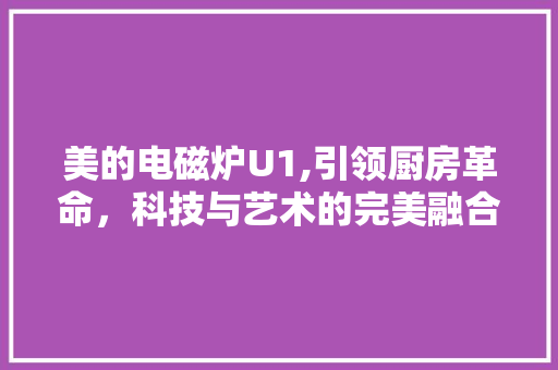 美的电磁炉U1,引领厨房革命，科技与艺术的完美融合