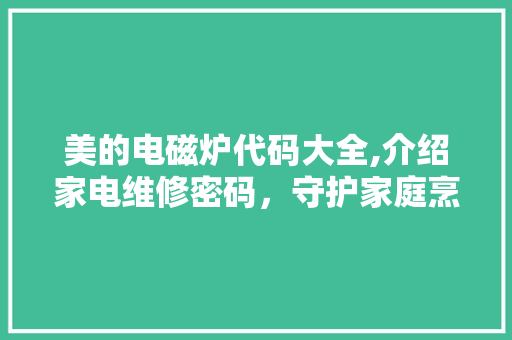 美的电磁炉代码大全,介绍家电维修密码，守护家庭烹饪安全