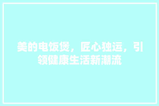 美的电饭煲，匠心独运，引领健康生活新潮流