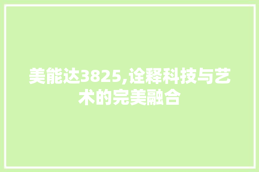 美能达3825,诠释科技与艺术的完美融合