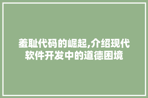 羞耻代码的崛起,介绍现代软件开发中的道德困境