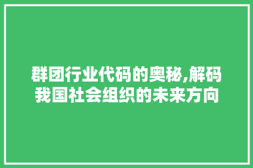 群团行业代码的奥秘,解码我国社会组织的未来方向