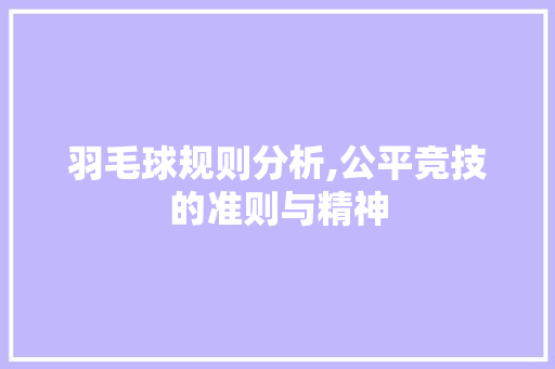 羽毛球规则分析,公平竞技的准则与精神