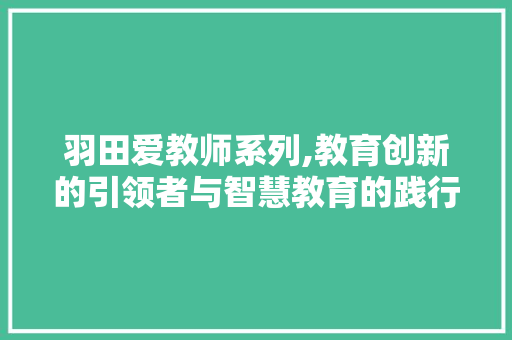 羽田爱教师系列,教育创新的引领者与智慧教育的践行者