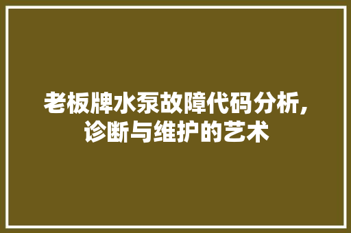 老板牌水泵故障代码分析,诊断与维护的艺术