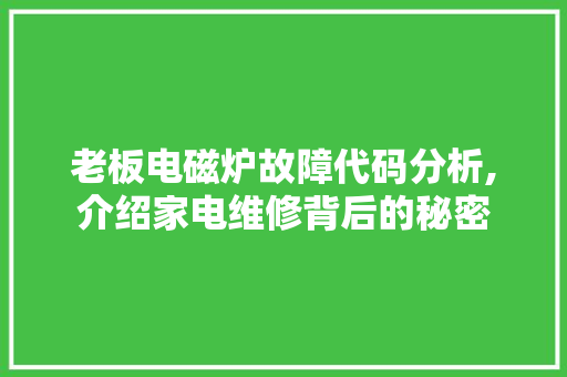 老板电磁炉故障代码分析,介绍家电维修背后的秘密