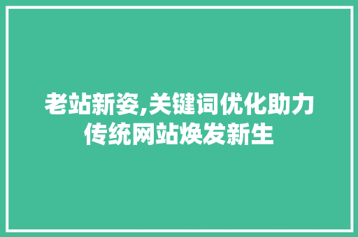 老站新姿,关键词优化助力传统网站焕发新生