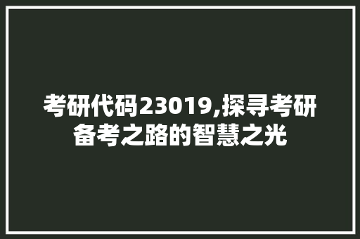 考研代码23019,探寻考研备考之路的智慧之光