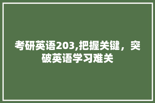 考研英语203,把握关键，突破英语学习难关