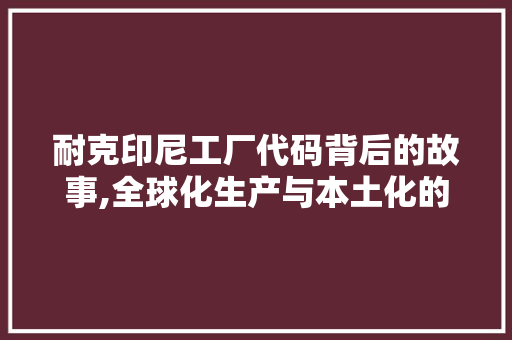 耐克印尼工厂代码背后的故事,全球化生产与本土化的智慧结晶