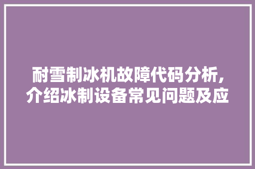 耐雪制冰机故障代码分析,介绍冰制设备常见问题及应对步骤