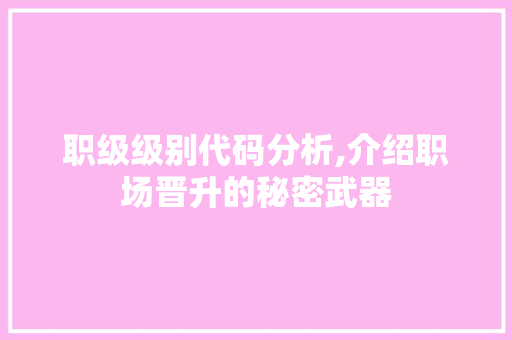 职级级别代码分析,介绍职场晋升的秘密武器