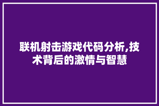 联机射击游戏代码分析,技术背后的激情与智慧