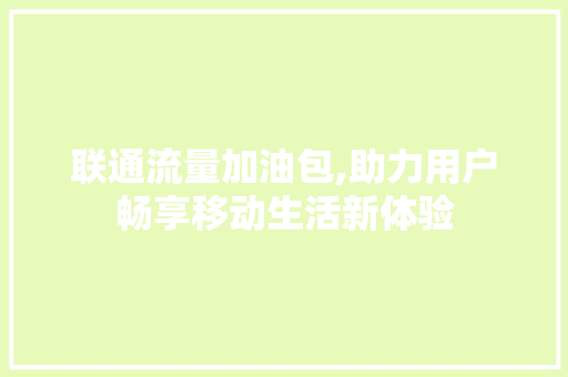 联通流量加油包,助力用户畅享移动生活新体验