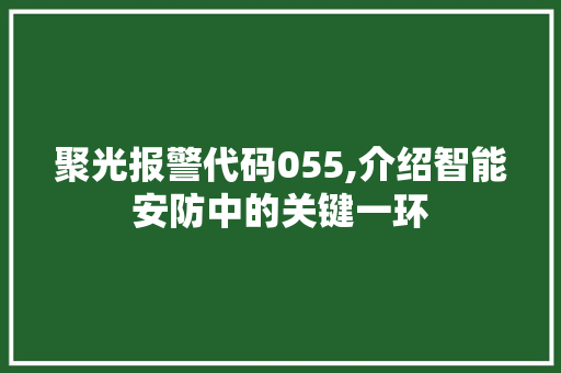 聚光报警代码055,介绍智能安防中的关键一环