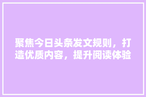 聚焦今日头条发文规则，打造优质内容，提升阅读体验