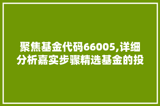 聚焦基金代码66005,详细分析嘉实步骤精选基金的投资价值