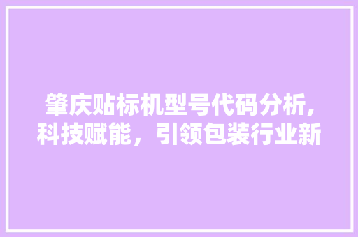 肇庆贴标机型号代码分析,科技赋能，引领包装行业新潮流