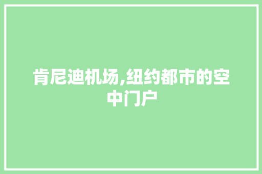 肯尼迪机场,纽约都市的空中门户