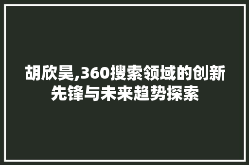 胡欣昊,360搜索领域的创新先锋与未来趋势探索