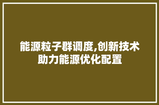 能源粒子群调度,创新技术助力能源优化配置