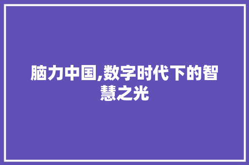 脑力中国,数字时代下的智慧之光