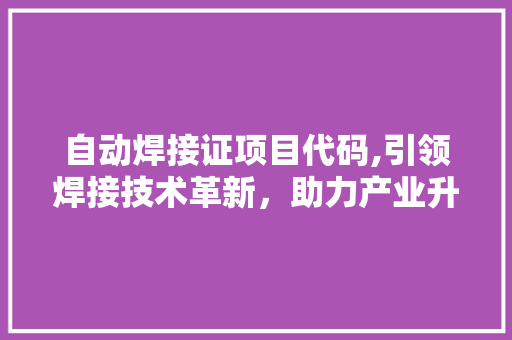 自动焊接证项目代码,引领焊接技术革新，助力产业升级