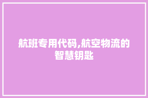 航班专用代码,航空物流的智慧钥匙