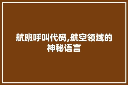 航班呼叫代码,航空领域的神秘语言