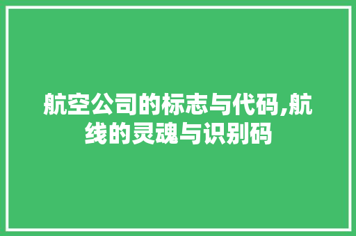 航空公司的标志与代码,航线的灵魂与识别码