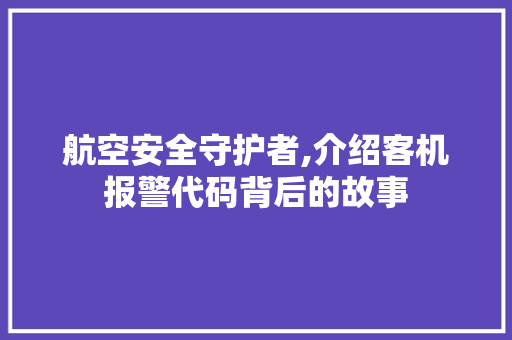 航空安全守护者,介绍客机报警代码背后的故事