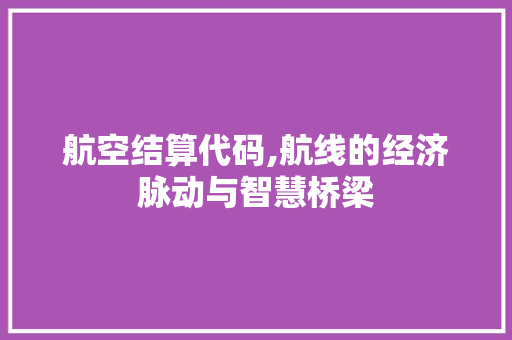 航空结算代码,航线的经济脉动与智慧桥梁