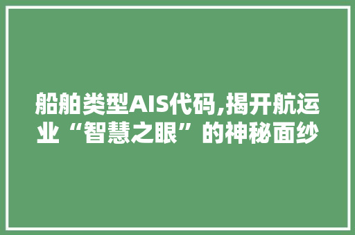 船舶类型AIS代码,揭开航运业“智慧之眼”的神秘面纱