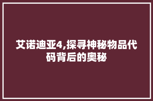 艾诺迪亚4,探寻神秘物品代码背后的奥秘