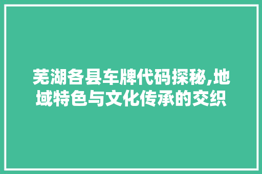 芜湖各县车牌代码探秘,地域特色与文化传承的交织