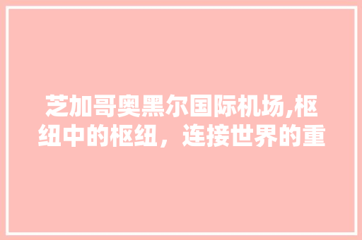 芝加哥奥黑尔国际机场,枢纽中的枢纽，连接世界的重要门户